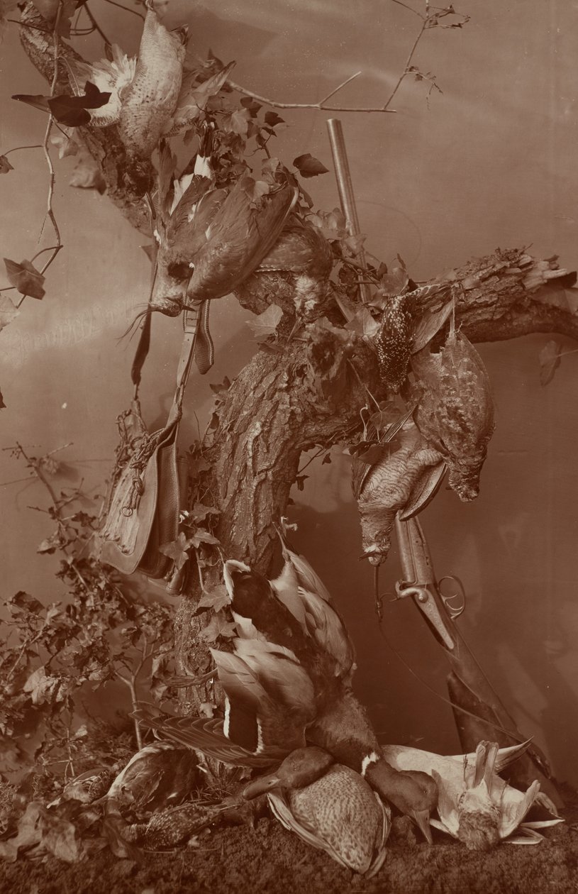 [Still Life: Dead Game] af Adolphe Braun