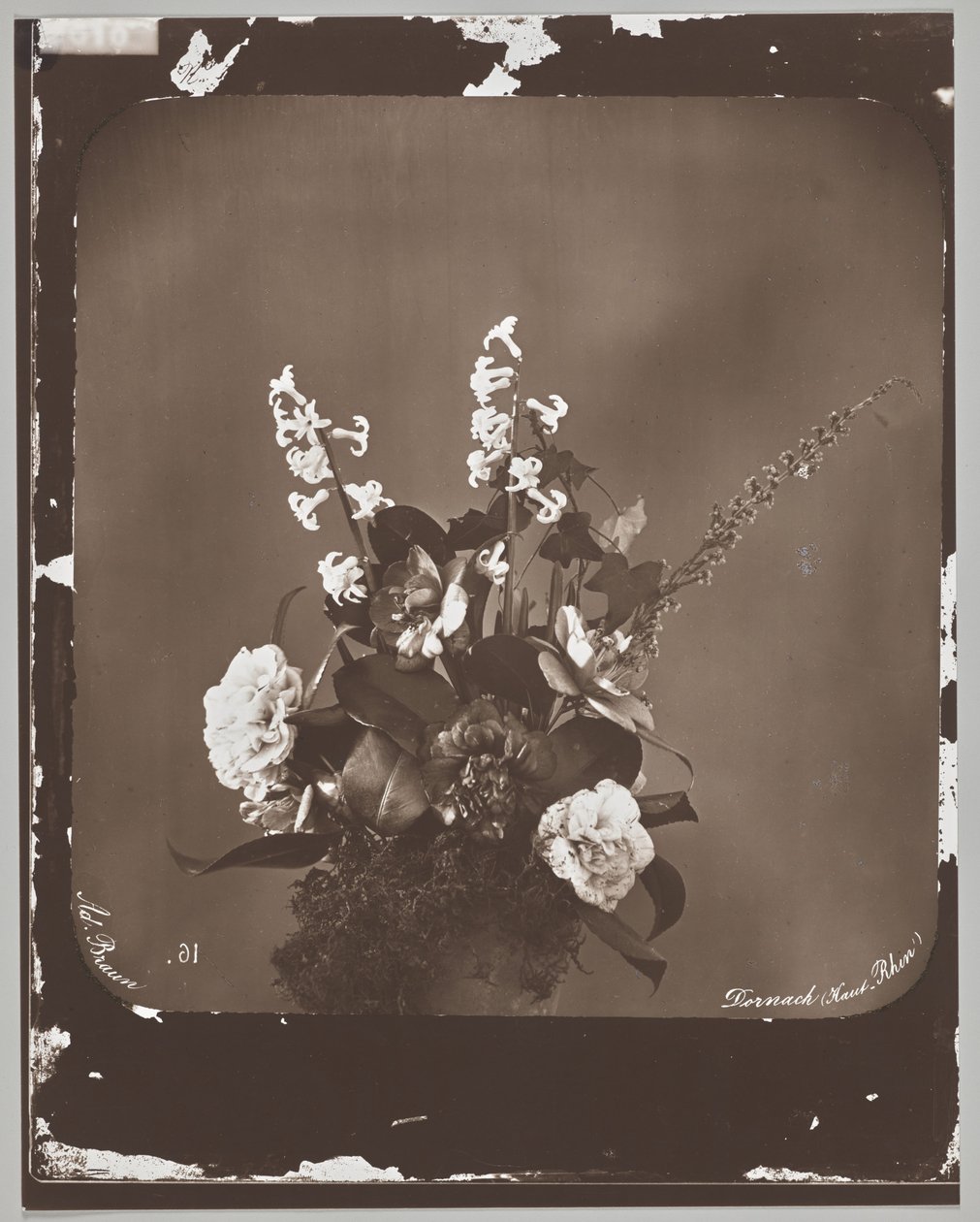 Uden titel (blomsterarrangement) af Adolphe Braun