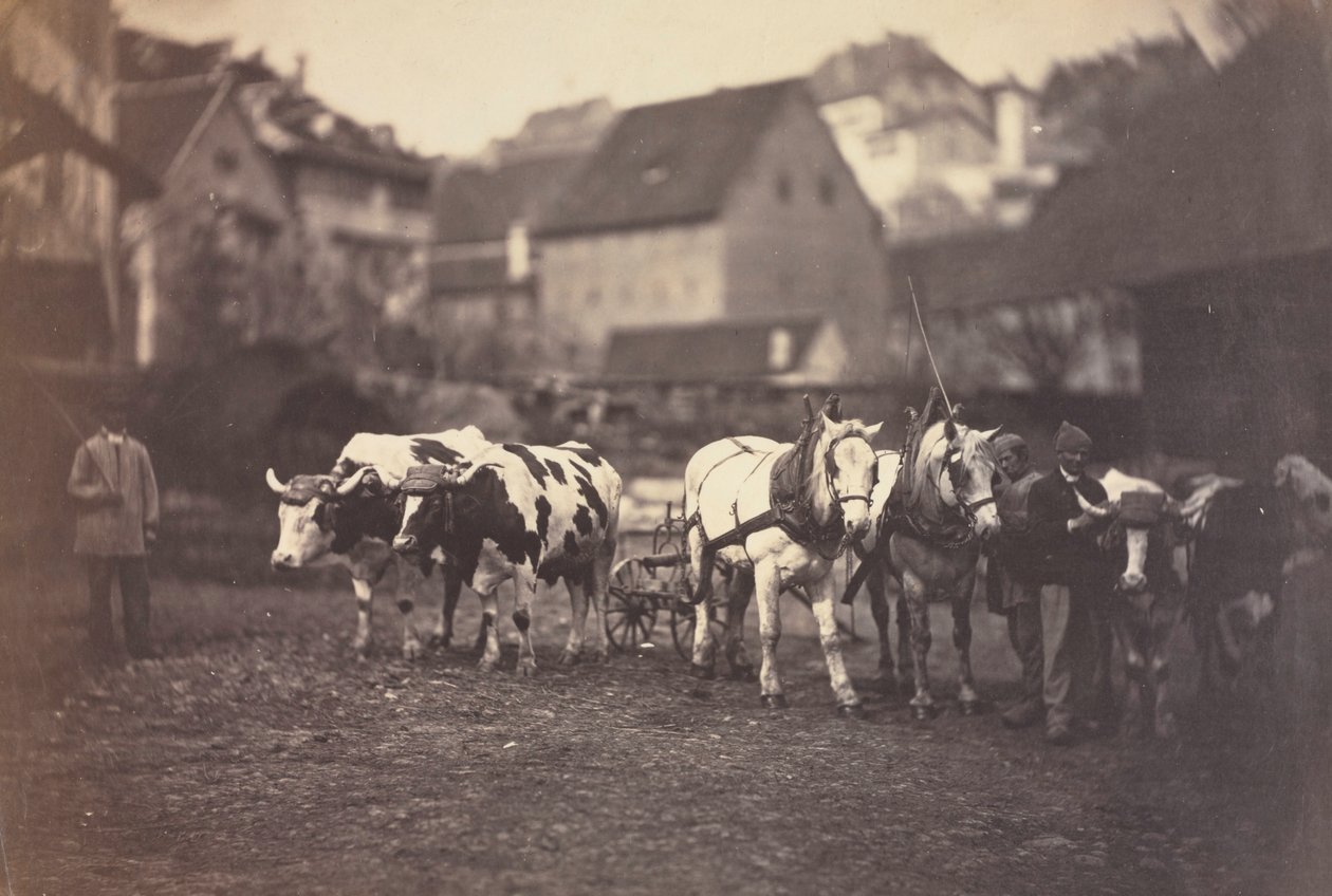 Uden titel Husdyr, 1850