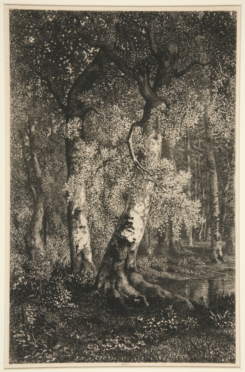 Bøgene af Adolphe Martial Potemont