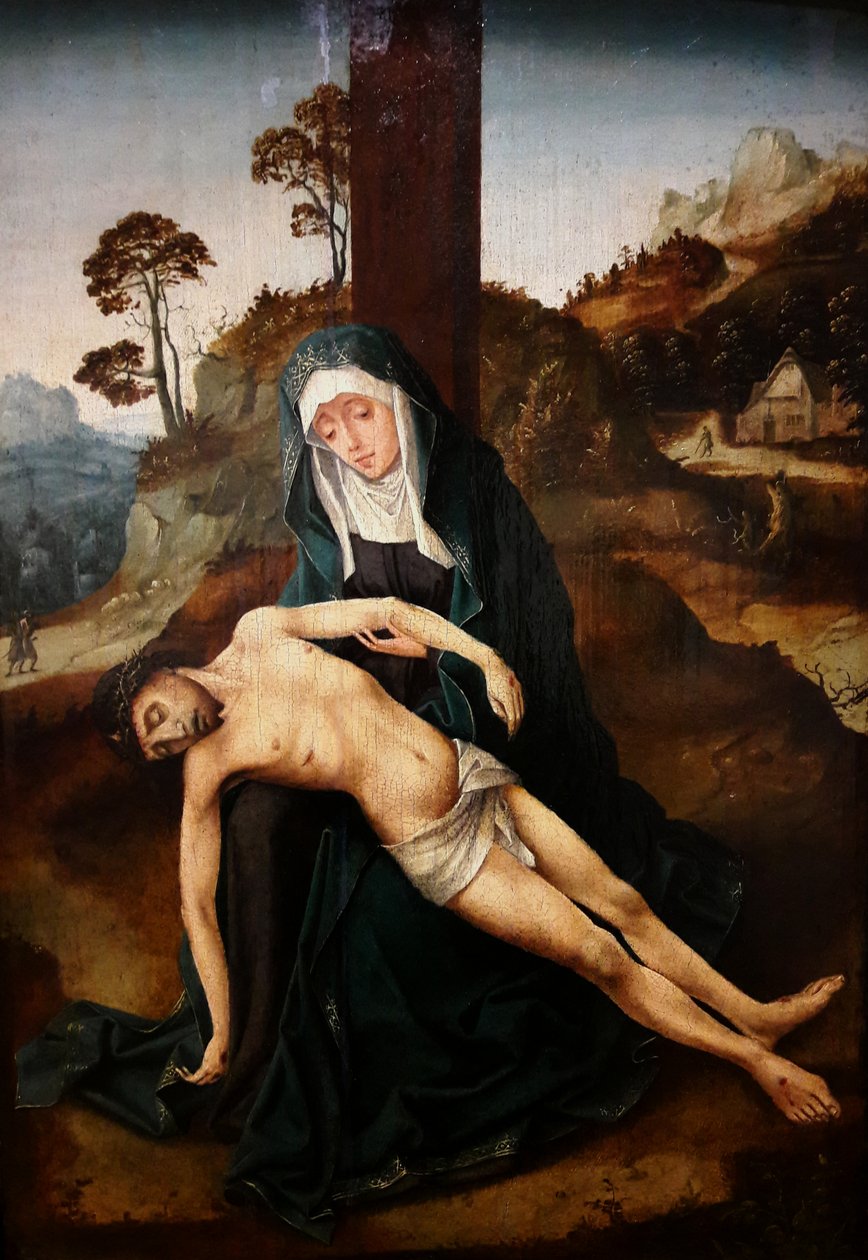 Medfølelse af Adriaen van Overbeke