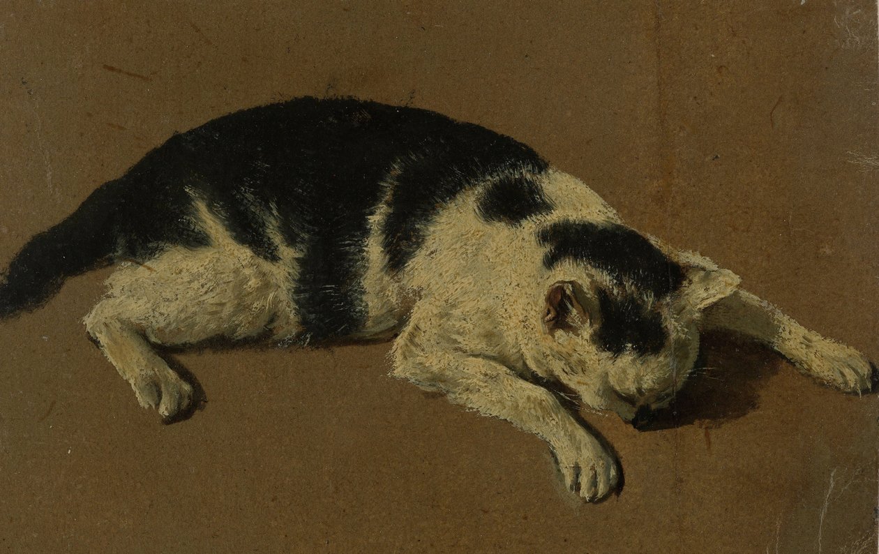 Kat liggende (oliebørstetegning) af Adriaen van de Velde