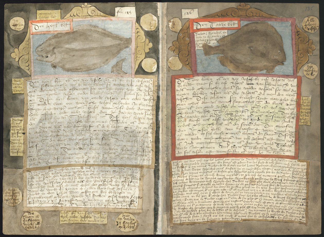 Adriaen Coenens Visboeck af Adriaen Coenen