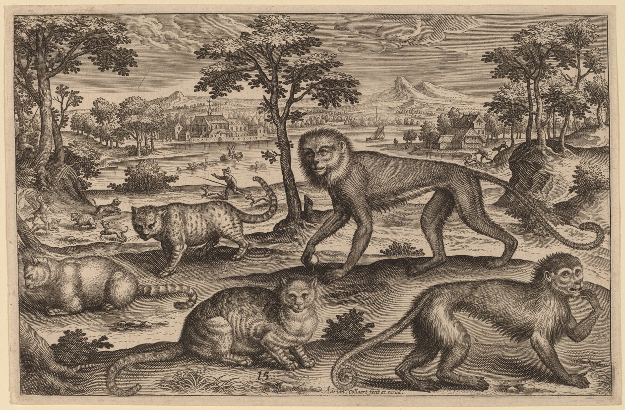 Tre katte og to aber af Adriaen Collaert