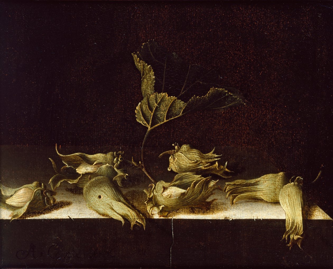 Stilleben med hasselnødder, 1696 af Adrian Coorte