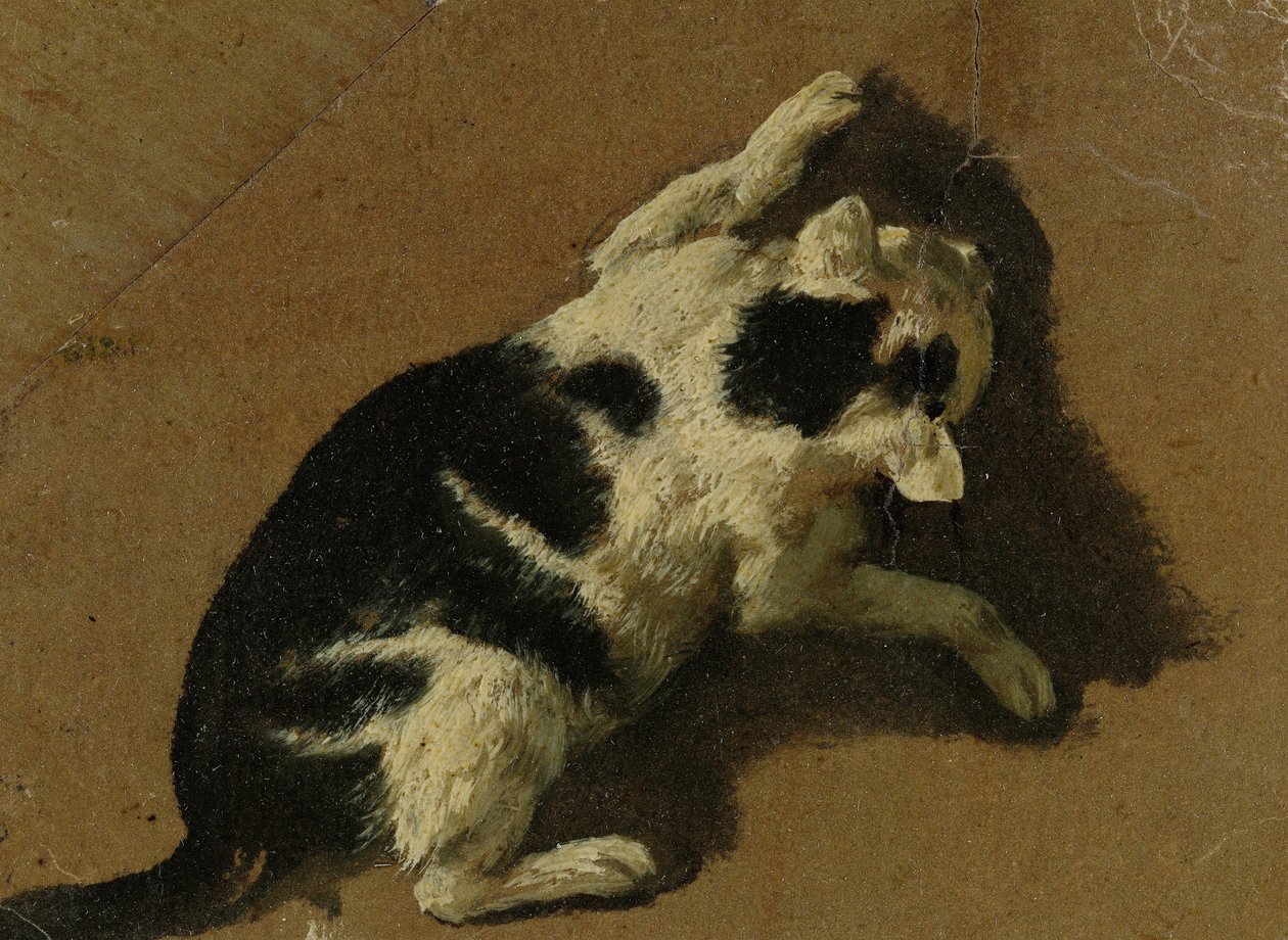 Katten leger (penseltegning) af Adriaen van de Velde