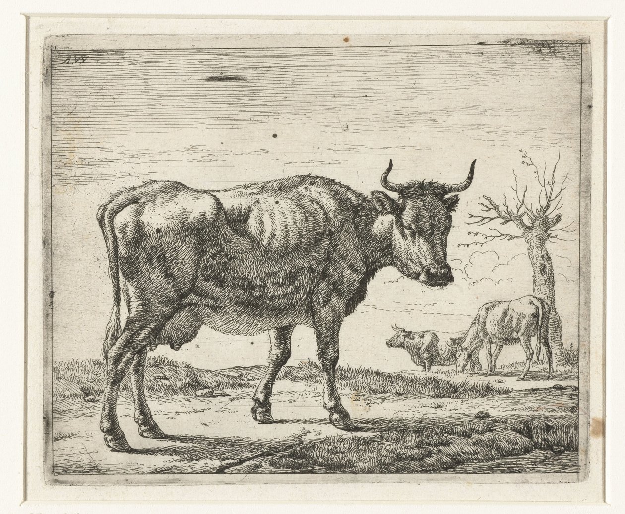 Tre køer Forskellige dyr (serietitel) af Adriaen van de Velde