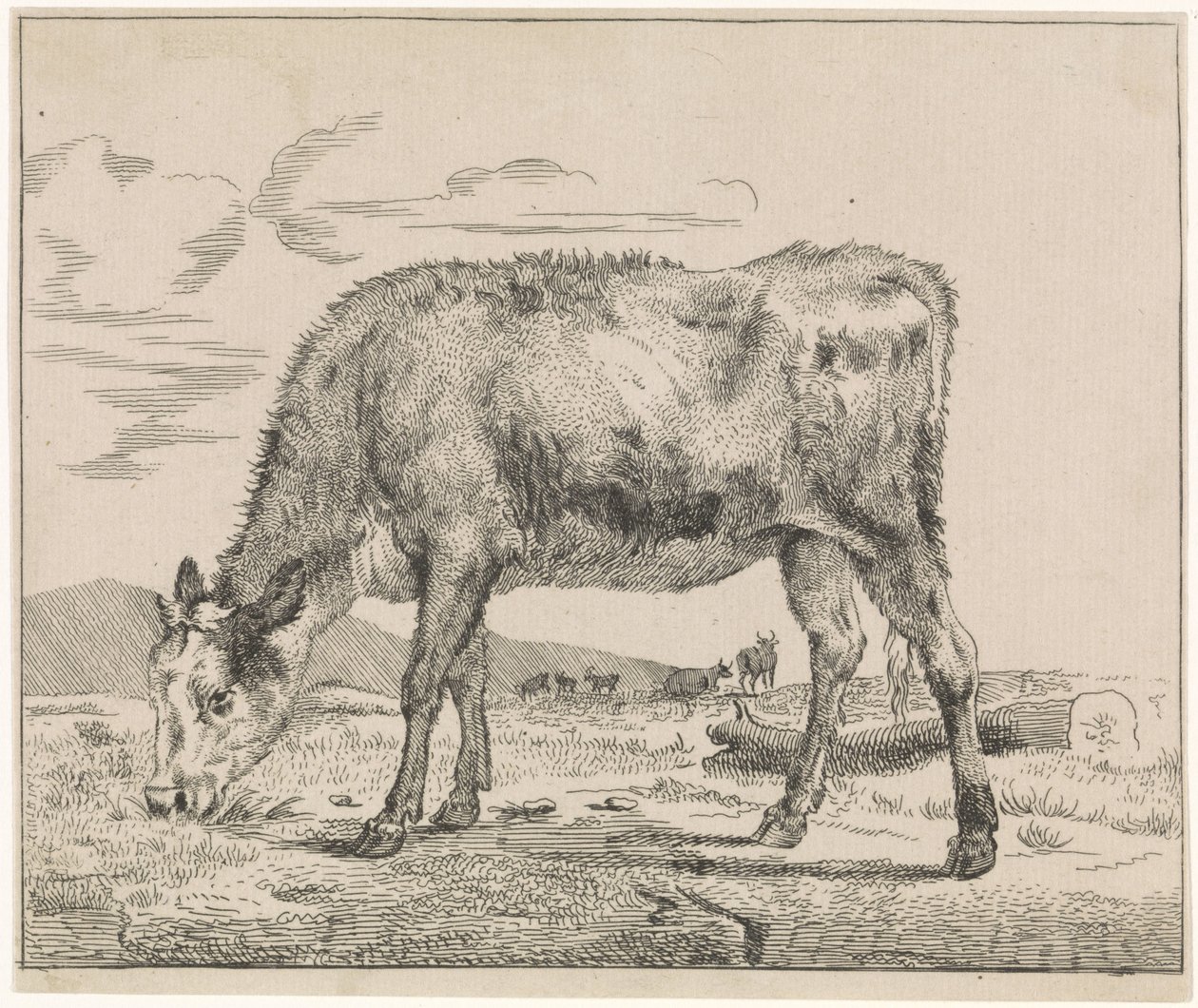 Græskalv Kvæg (serietitel) af Adriaen van de Velde
