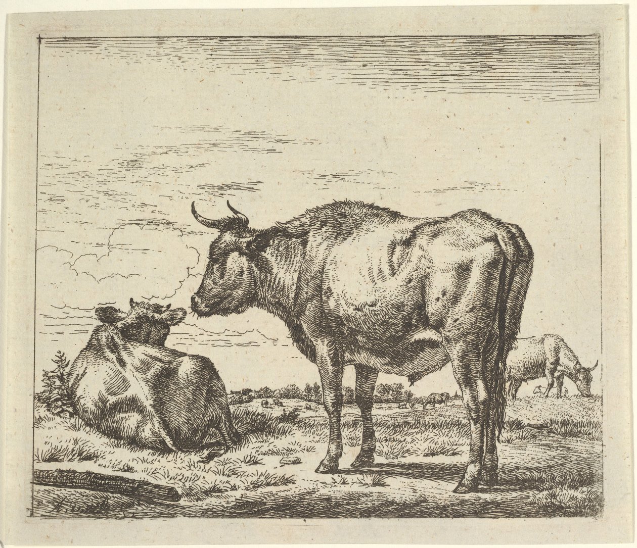 Stående Tyr, fra Forskellige Dyr. af Adriaen van de Velde