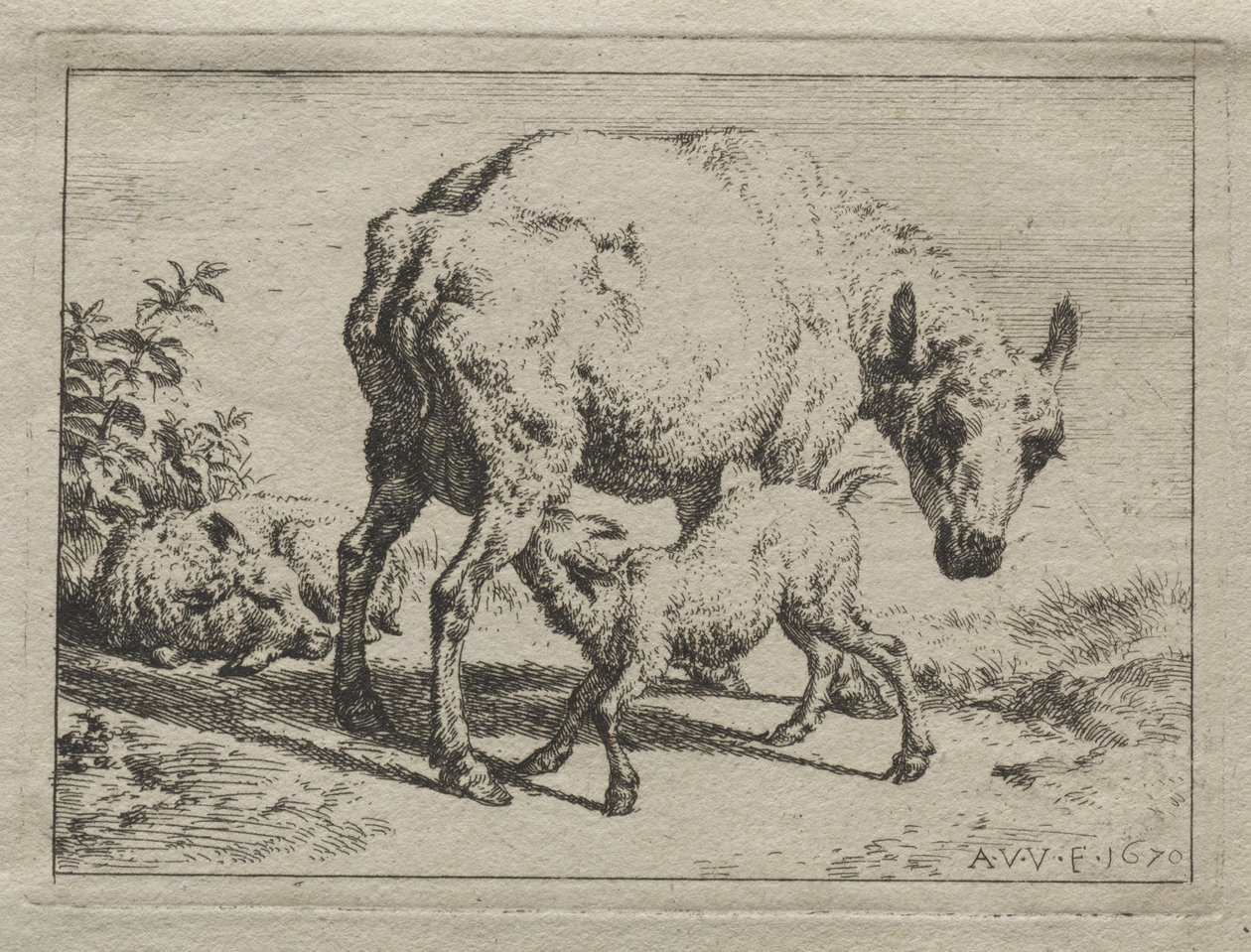 Moden og de to lam af Adriaen van de Velde