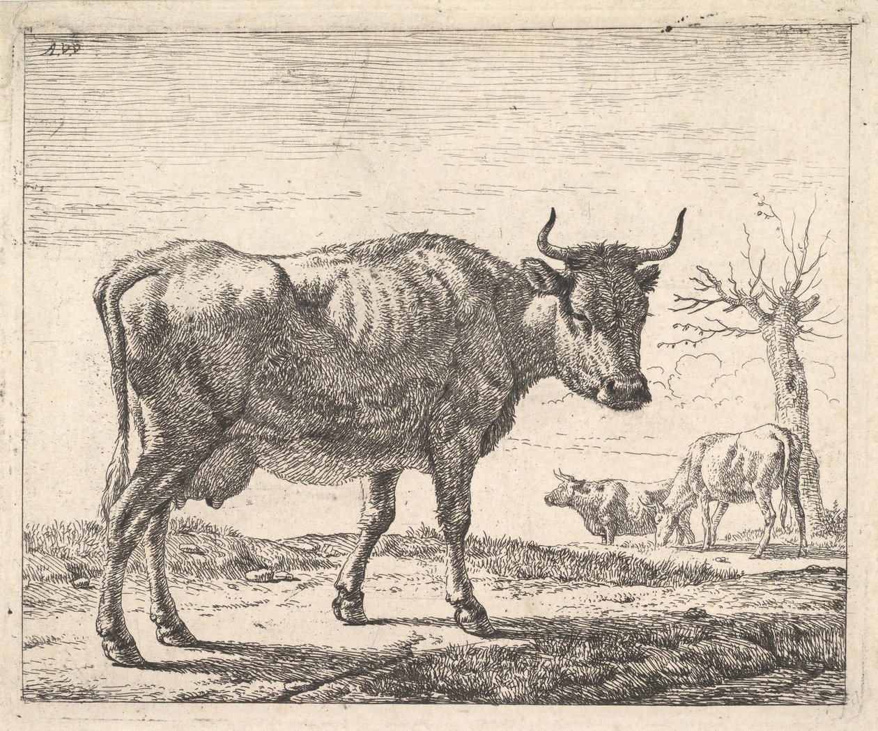 Tre køer. af Adriaen van de Velde