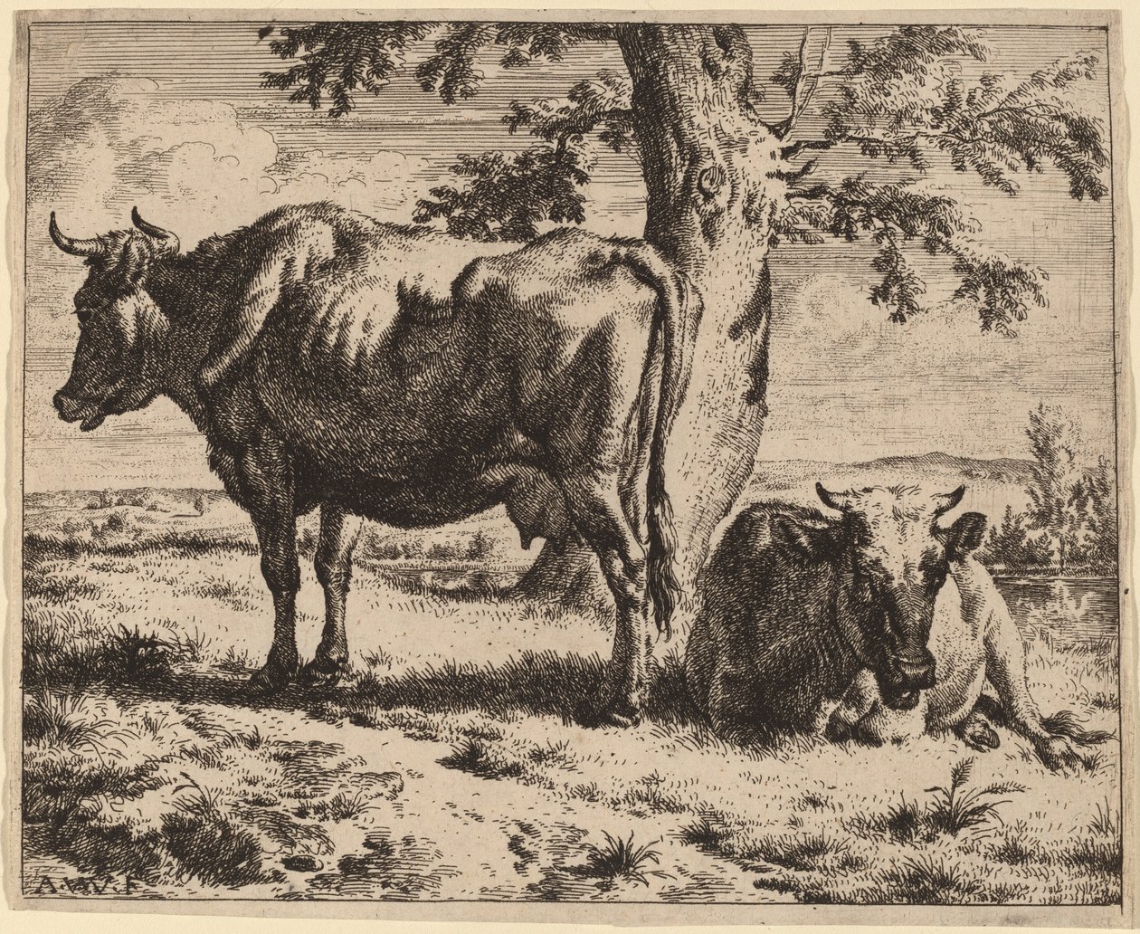 To køer under et træ af Adriaen van de Velde