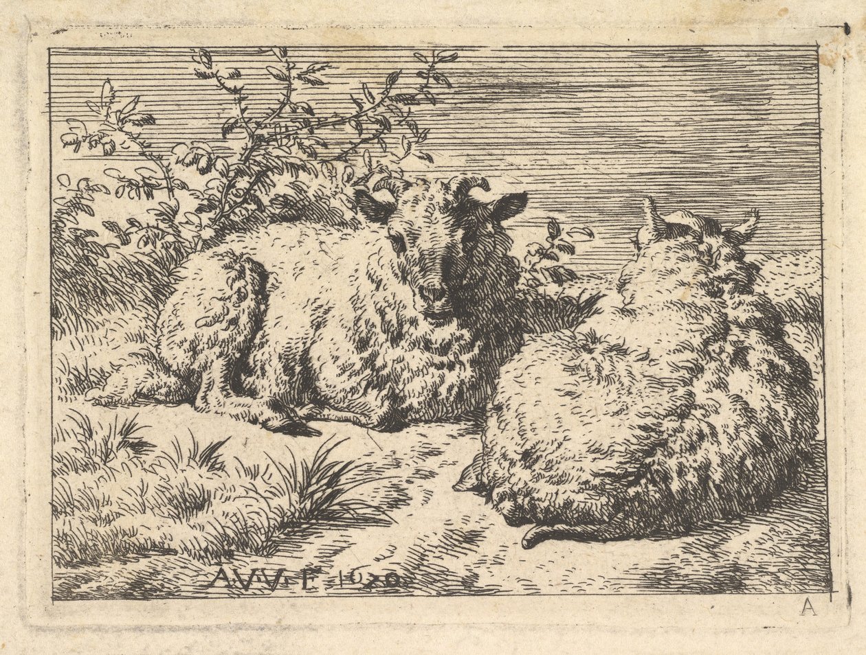 To liggende får, 1670. af Adriaen van de Velde