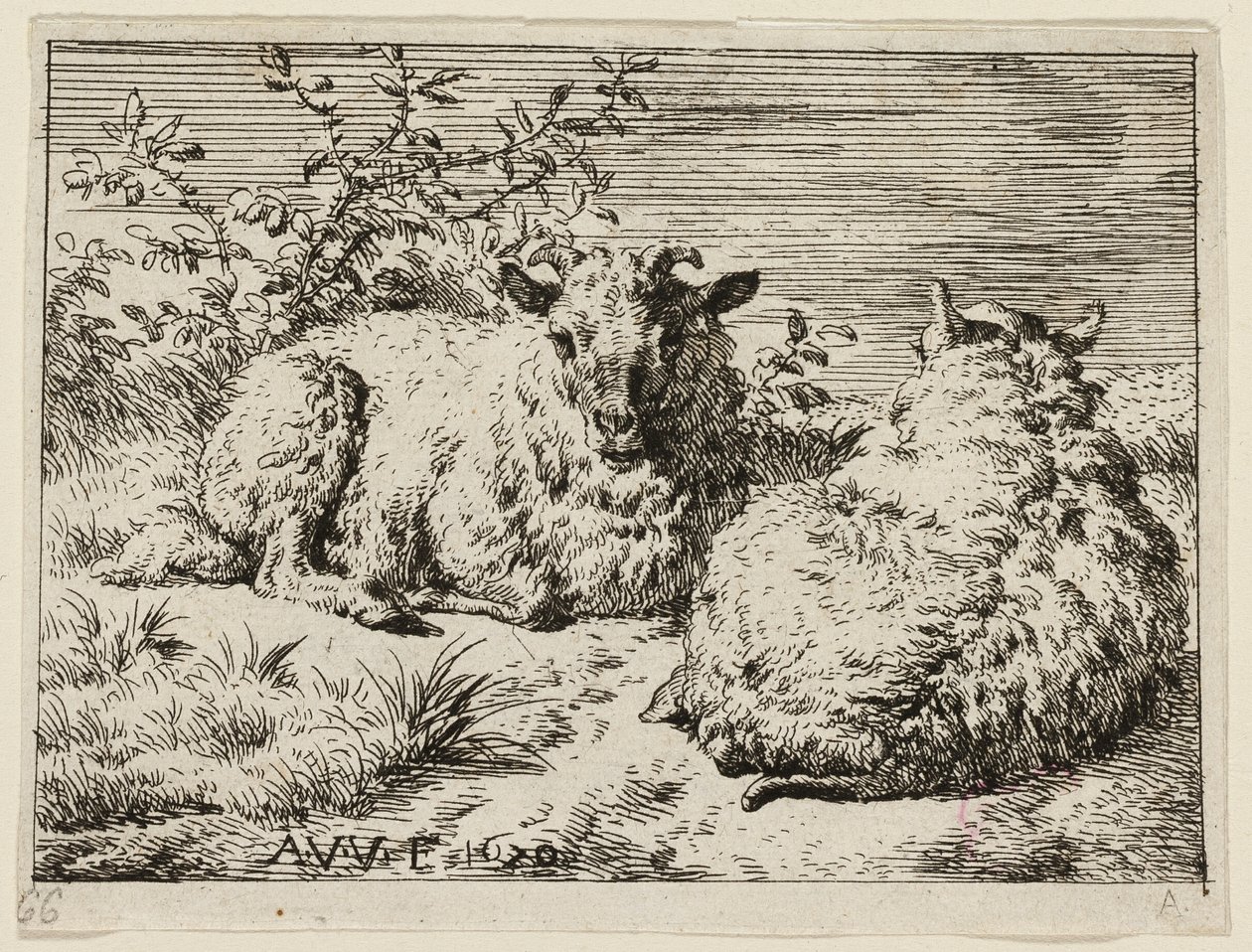 To får af Adriaen van de Velde