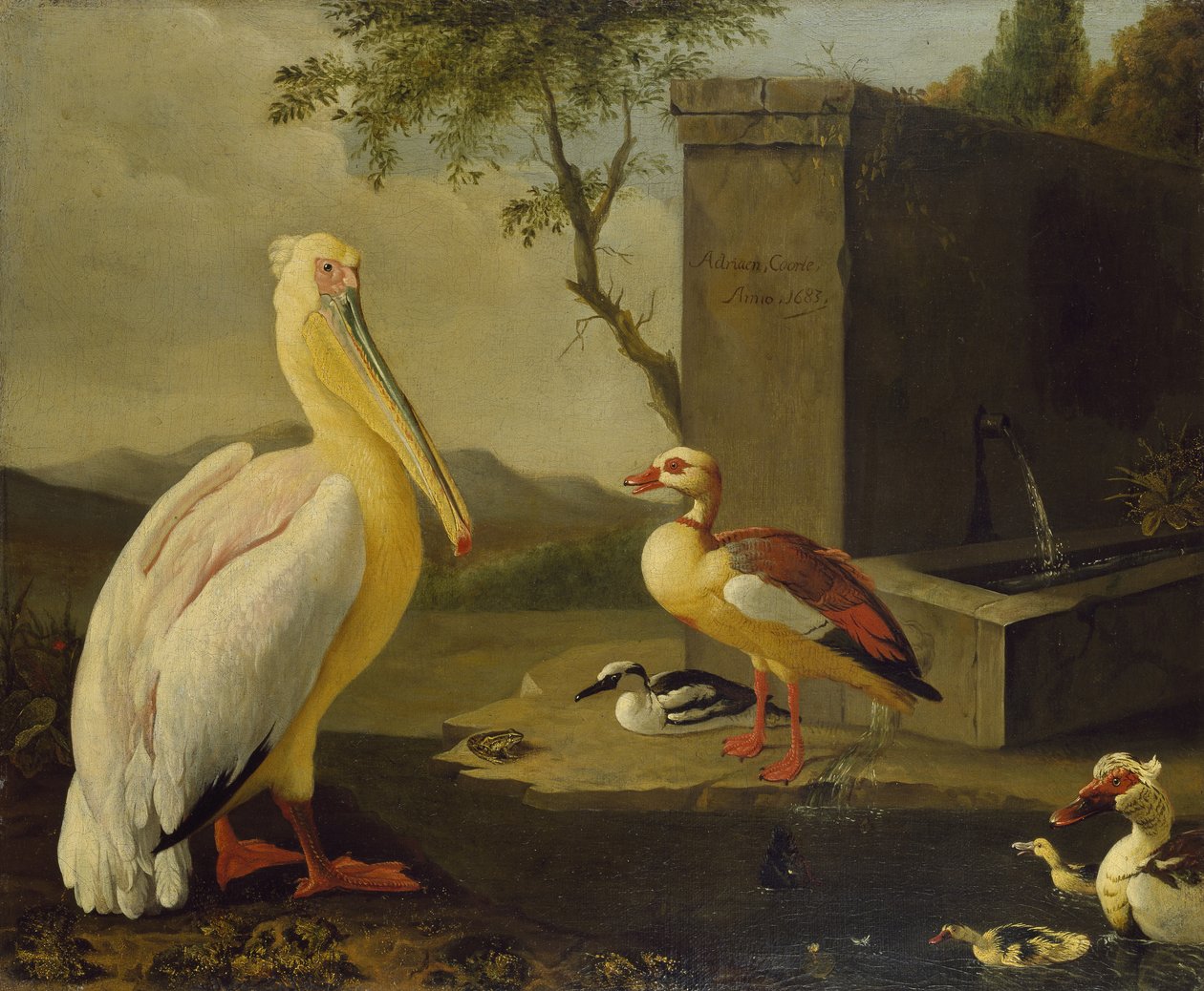 orientalske fugle af Adrian Coorte