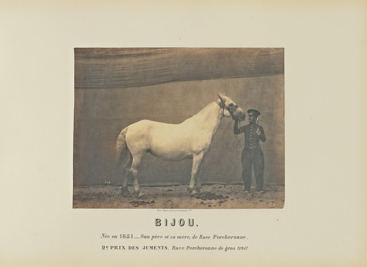 Bijou af Adrien Alban Tournachon