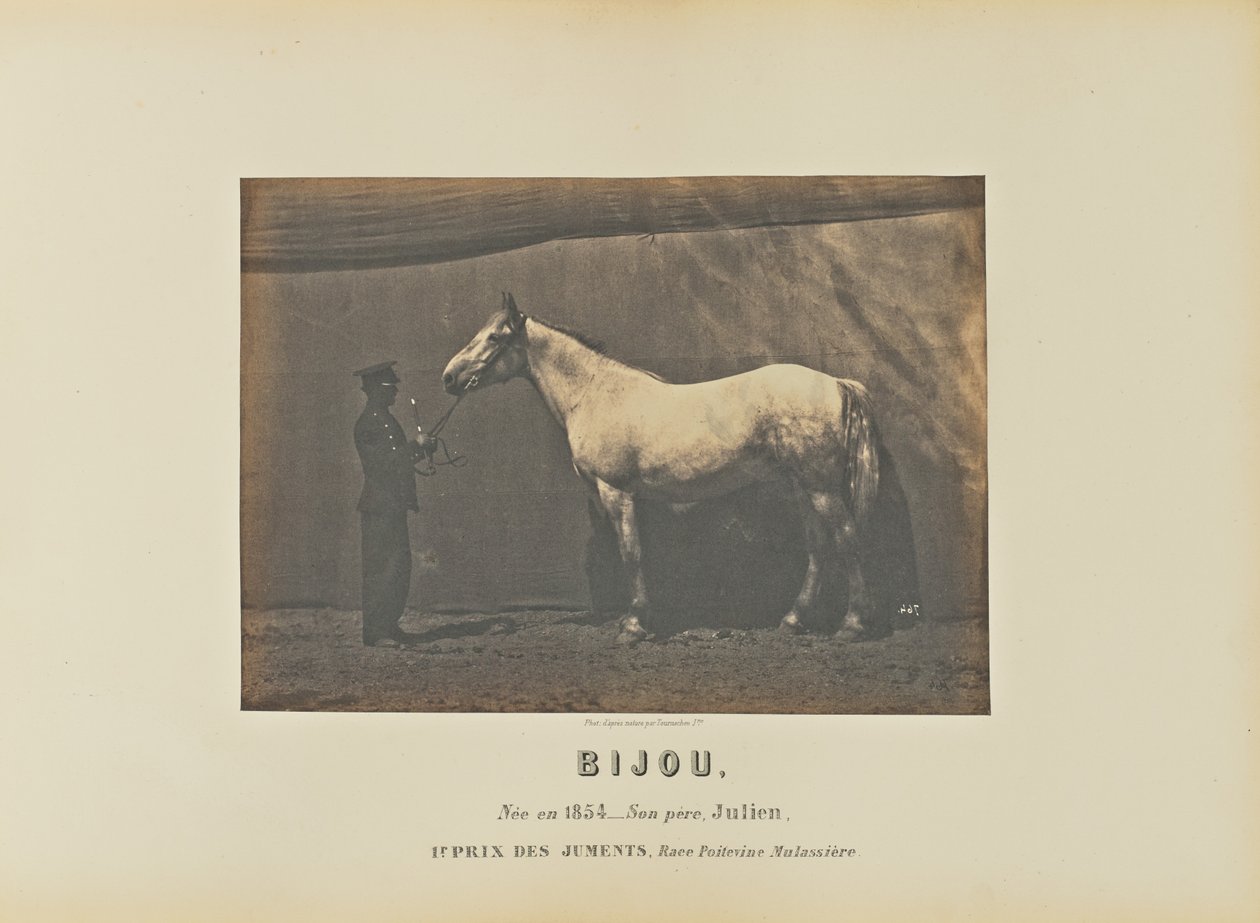 Bijou af Adrien Alban Tournachon