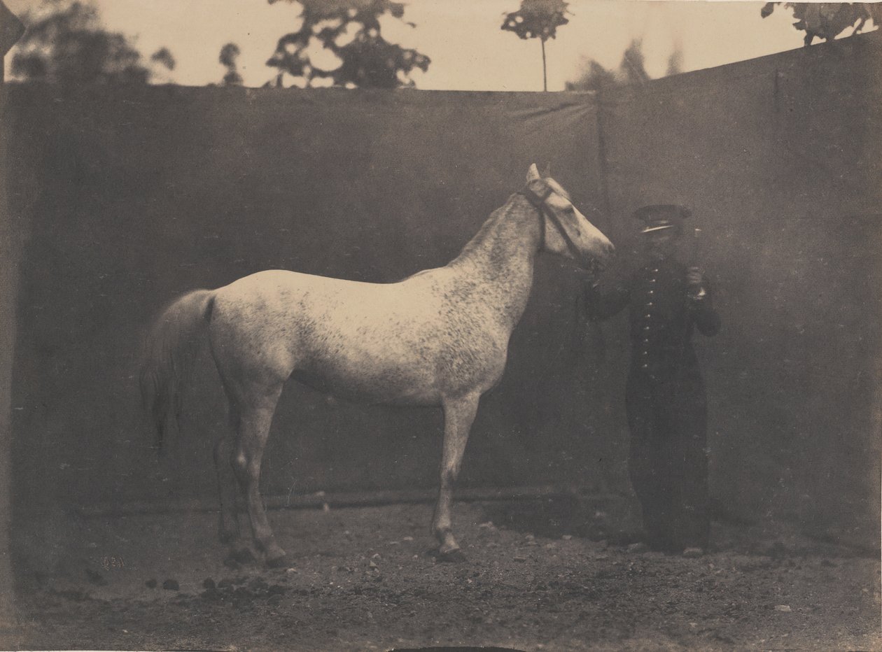Pascaline, ca. 1855-60. af Adrien Alban Tournachon