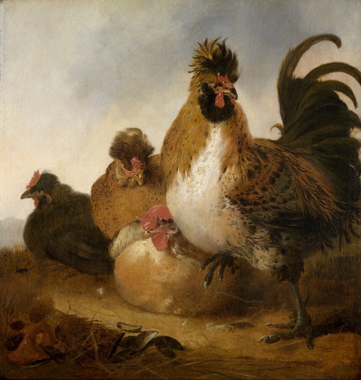 En hane og høns (olie på panel) af Aelbert Cuyp