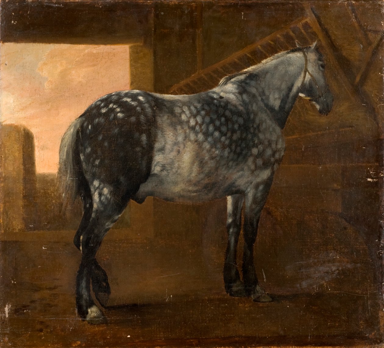 En dapple grå hest af Aelbert Cuyp