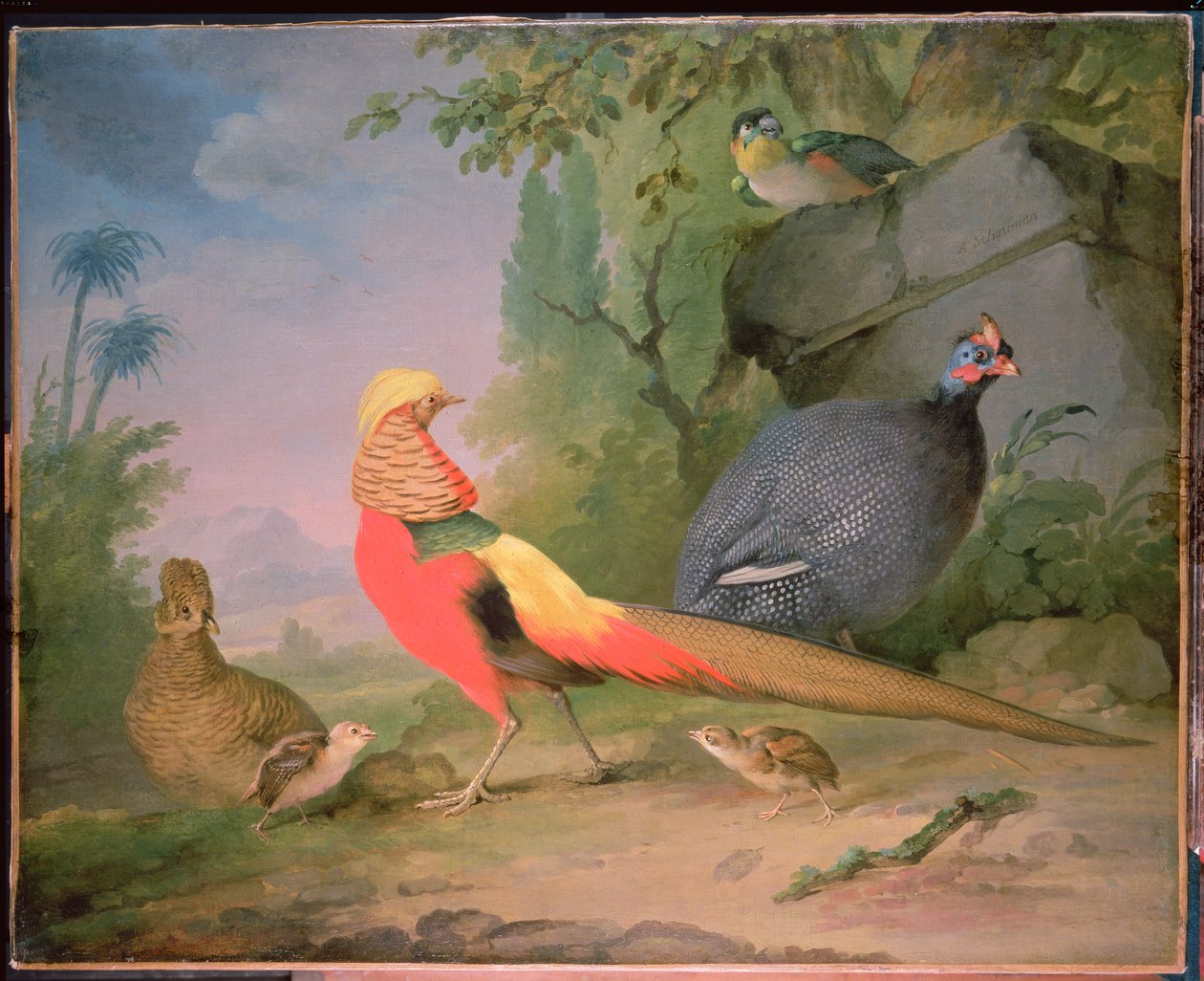 Vild Fowl af Aert Schouman