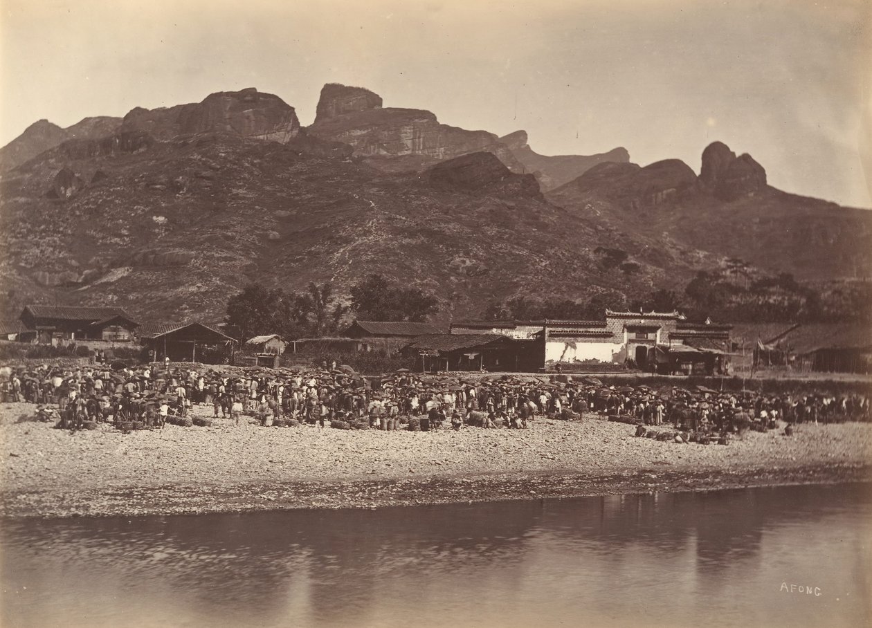 Andemarked, ca. 1869. af Afong Lai