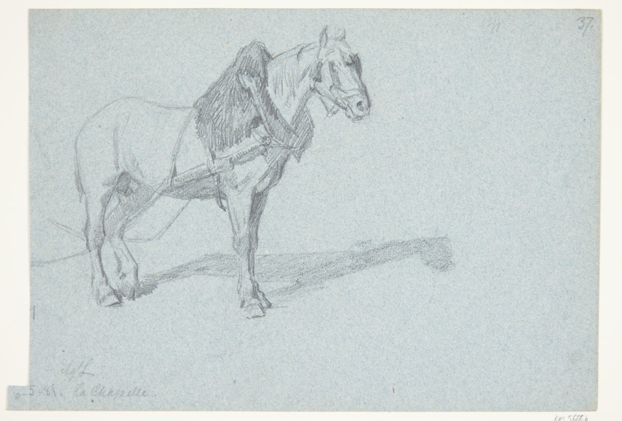 En hest af Agnes Lunn