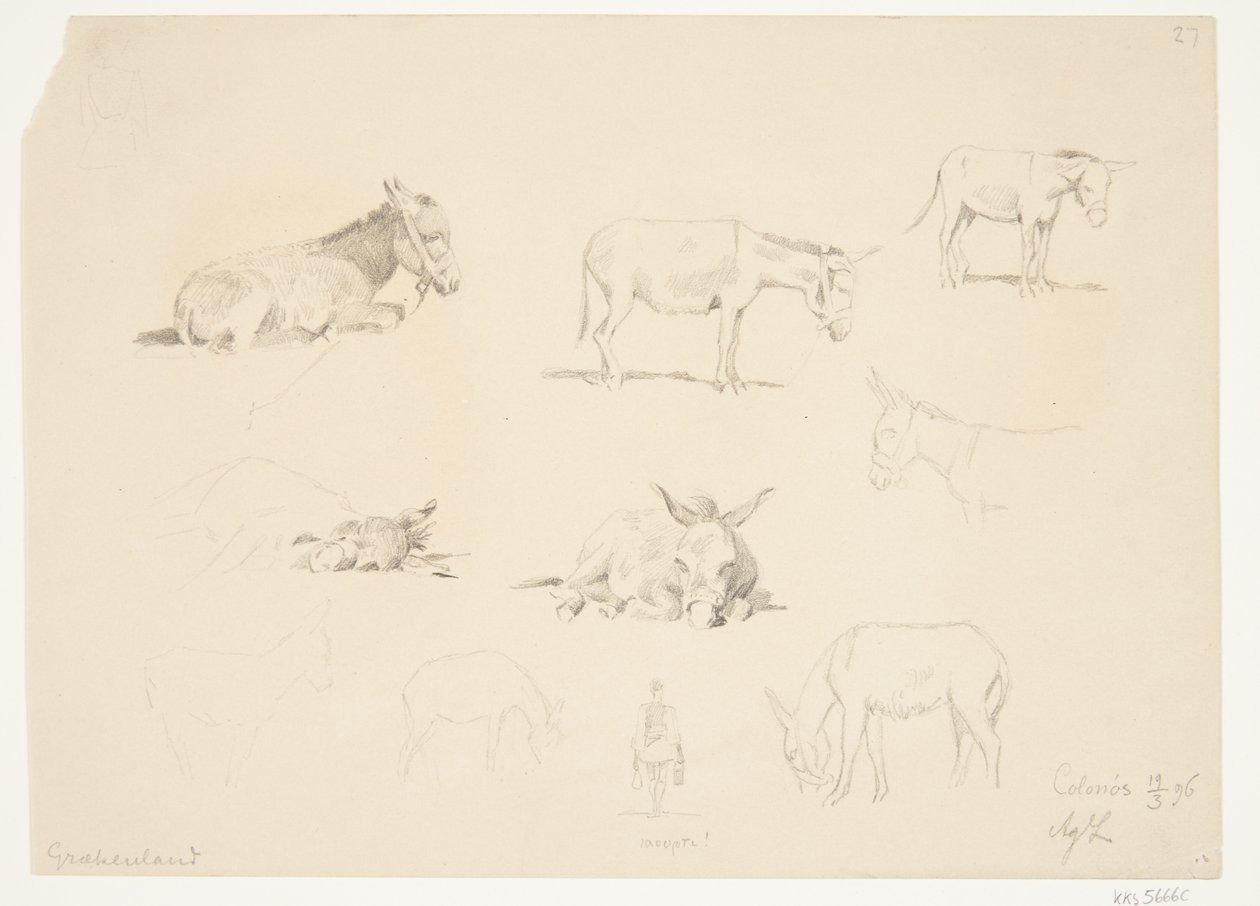 Studieblad med dyr. af Agnes Lunn
