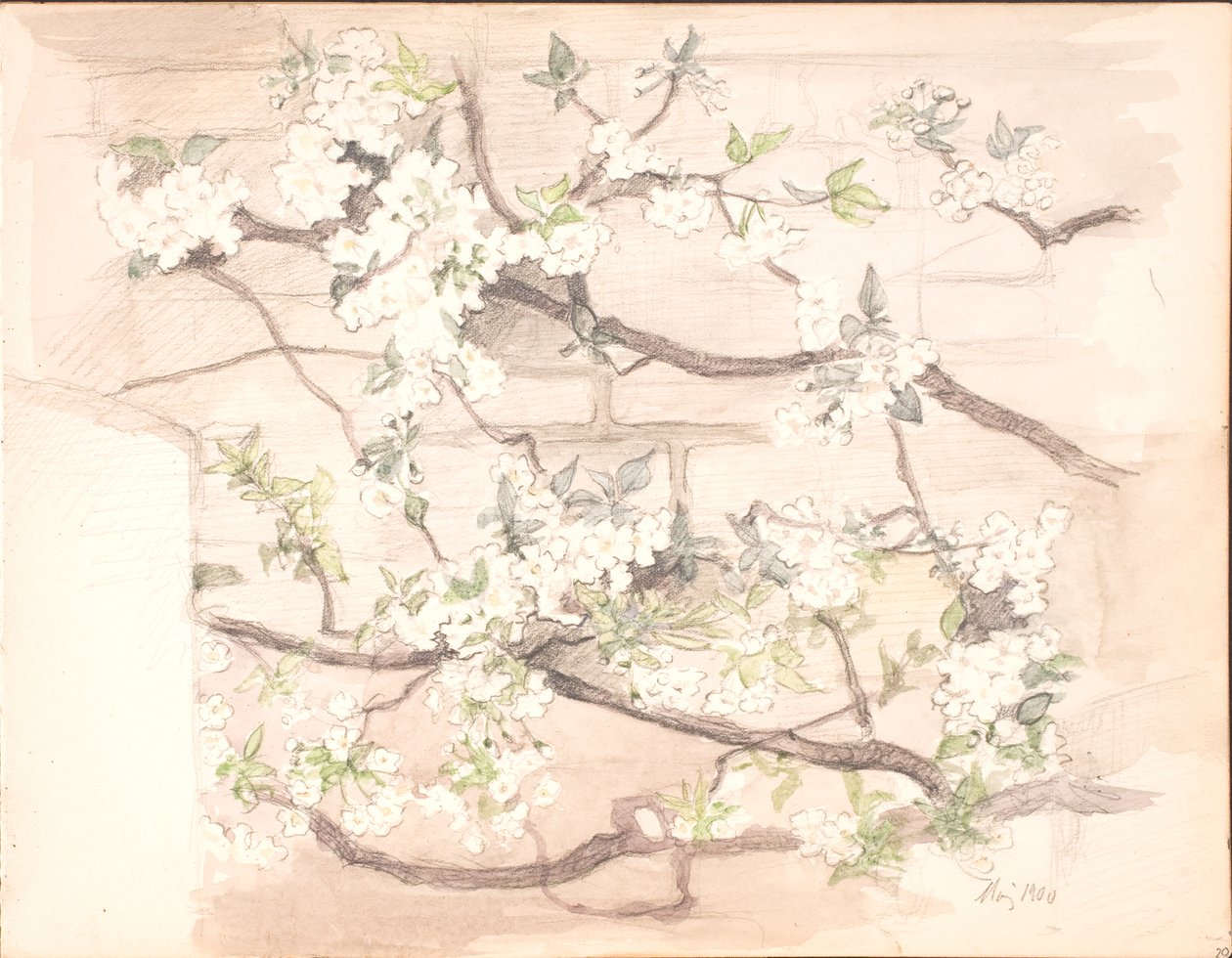 Æbleblomster af Agnes Slott Møller