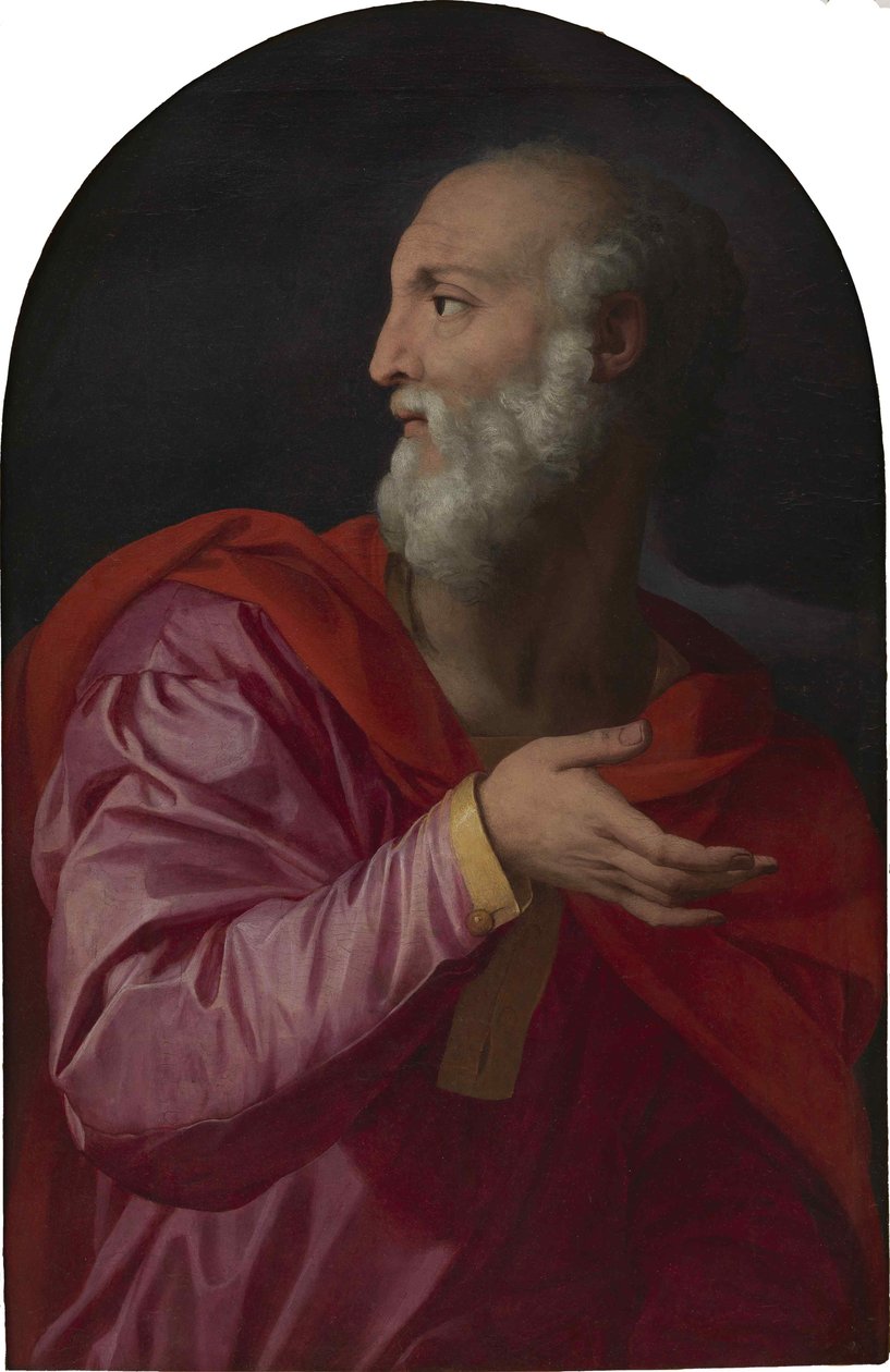Saint Cosmas, ca. 1544. af Agnolo Bronzino
