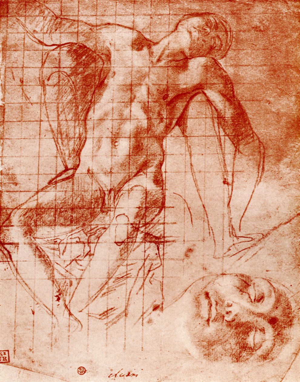 Studier, 1913. af Agnolo Bronzino