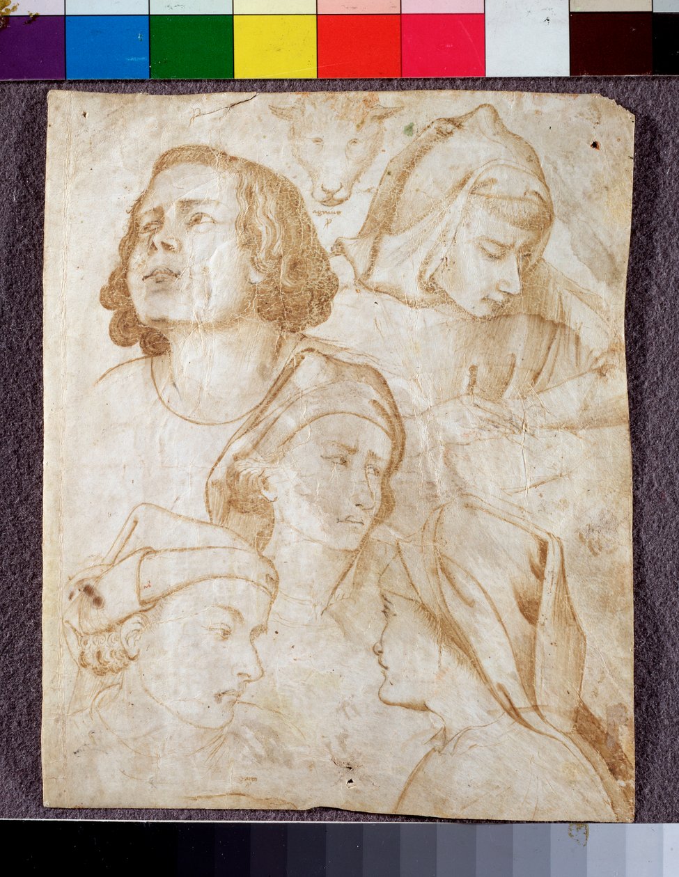 Hoveder (tegning af Agnolo Gaddi