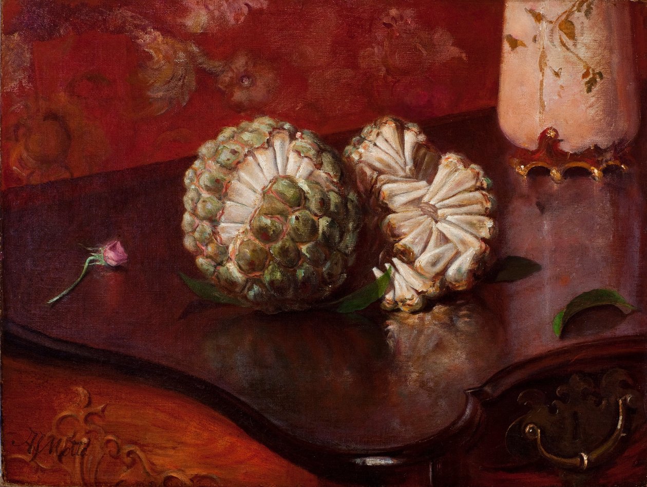 Sweetsop af Agostinhoda Motta