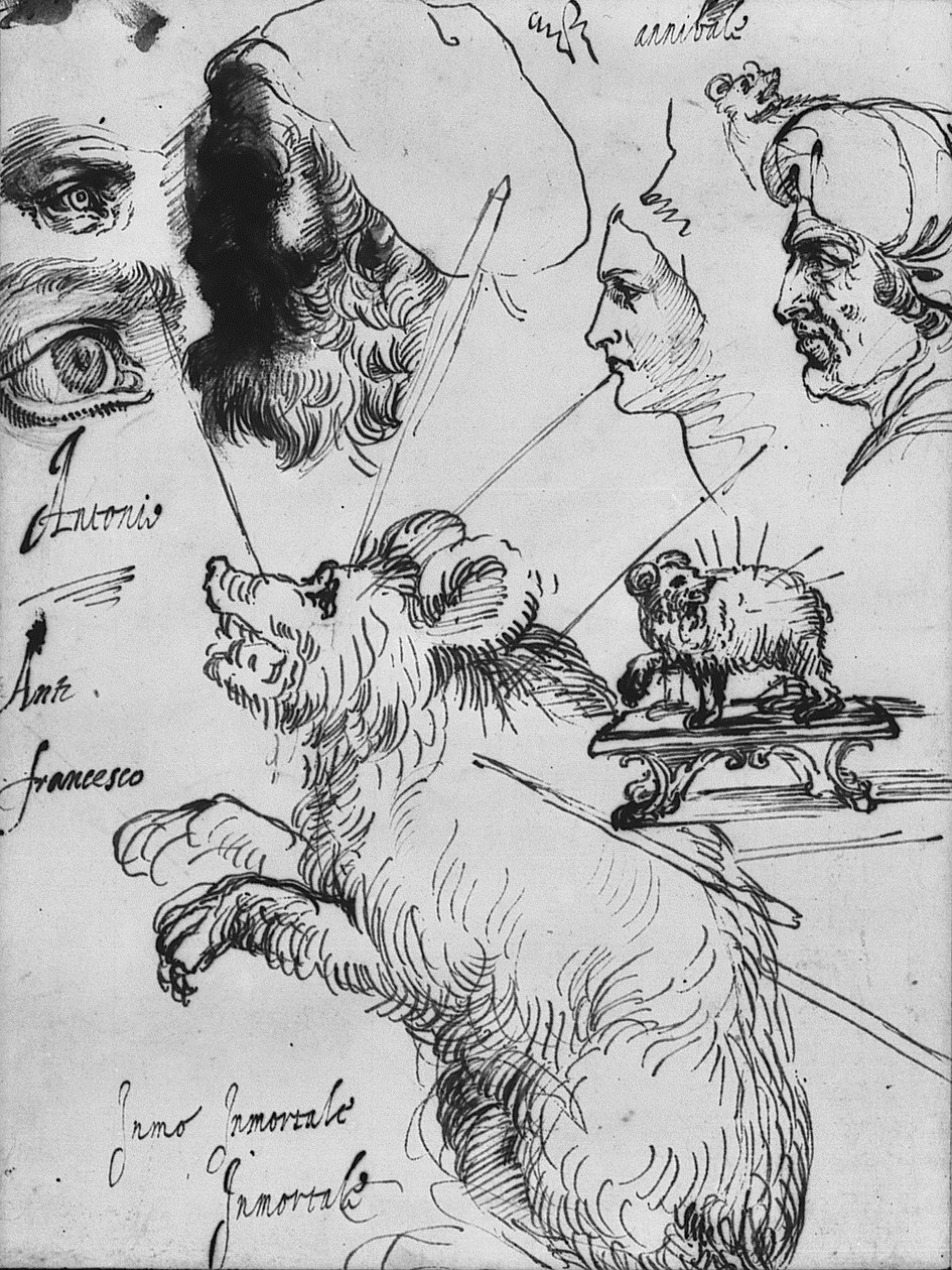 Undersøgelser for impresa af familien Carracci af Agostino Carracci