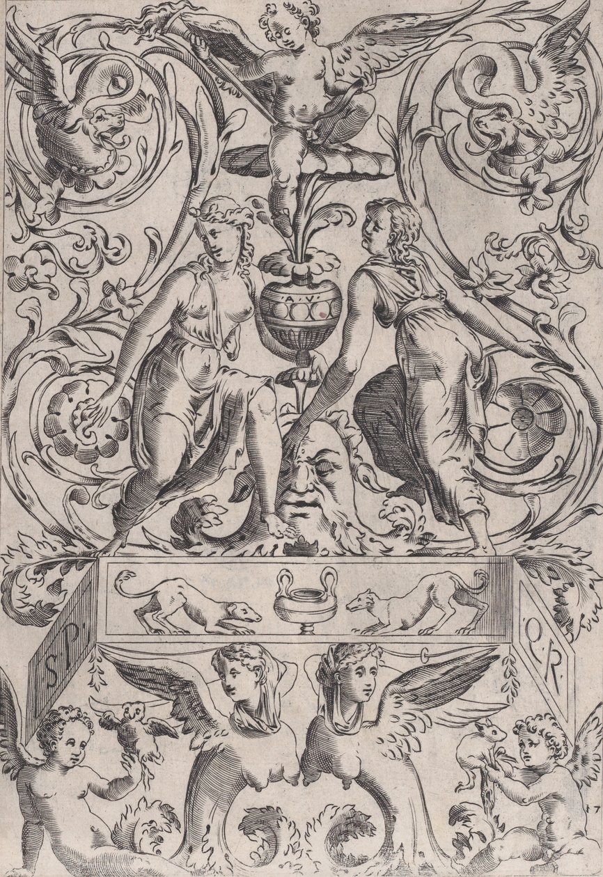 Ornamental panel, ca. 1514-36. af Agostino Veneziano