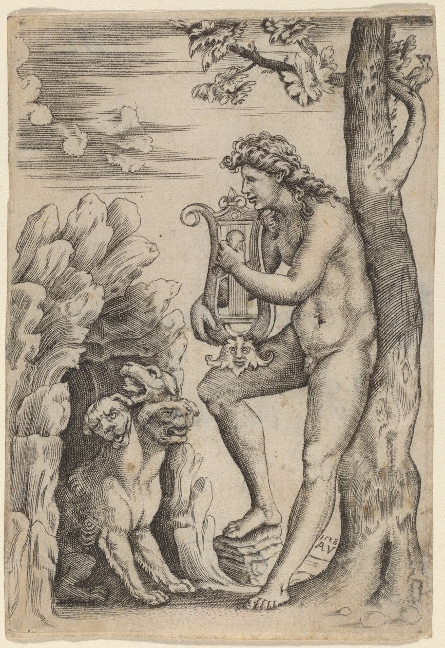 Orfeus af Agostino dei Musi