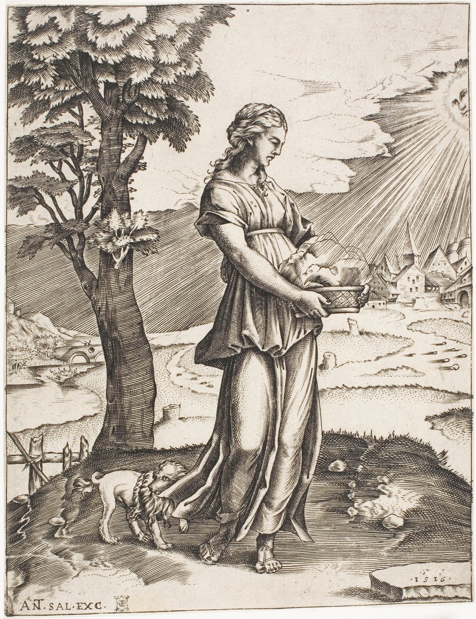 Den cumæiske Sybil af Agostino dei Musi