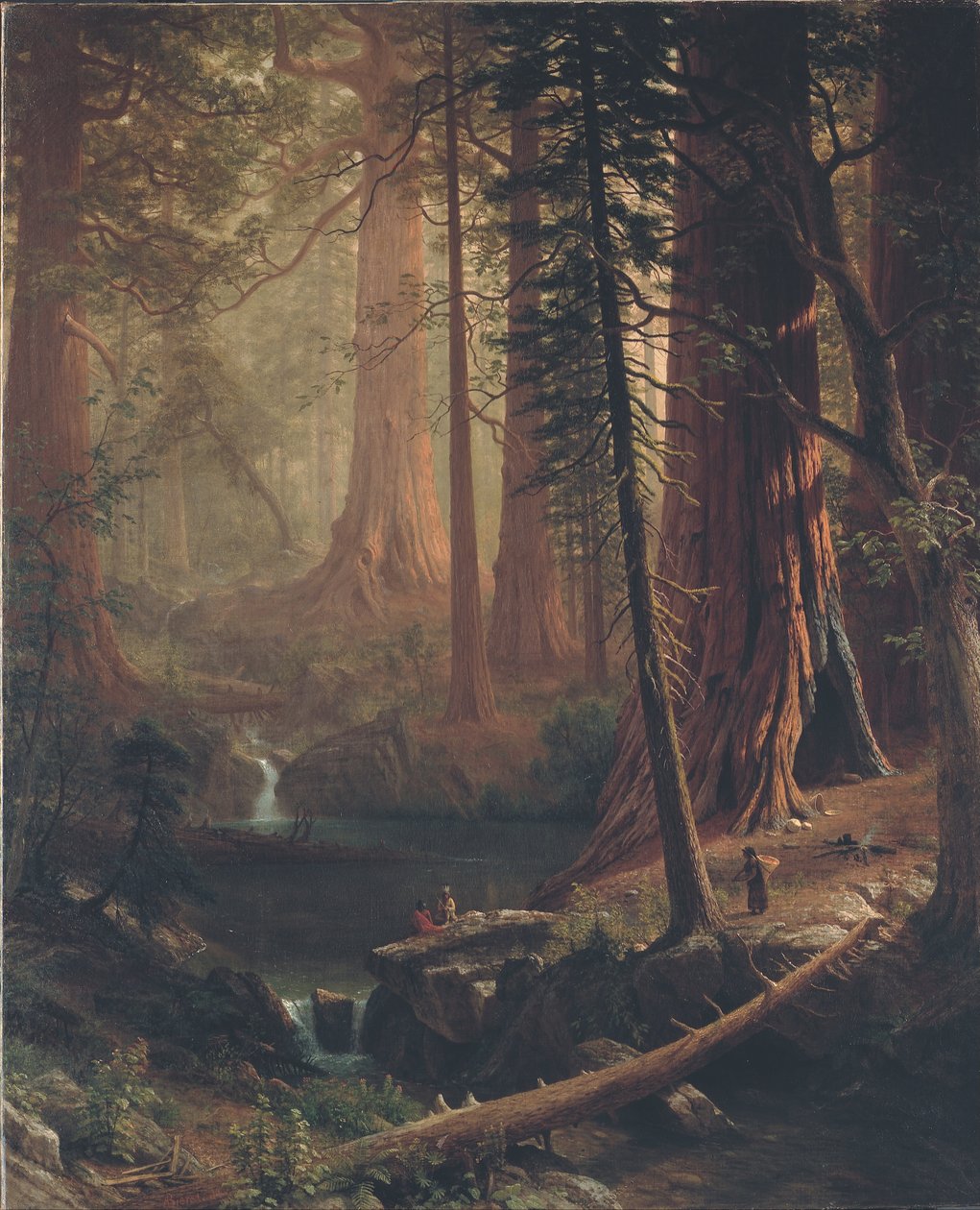 Giant Redwood Trees of California af Albert Bierstadt