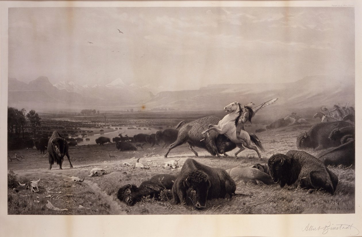 Den sidste af bøfflen af Albert Bierstadt