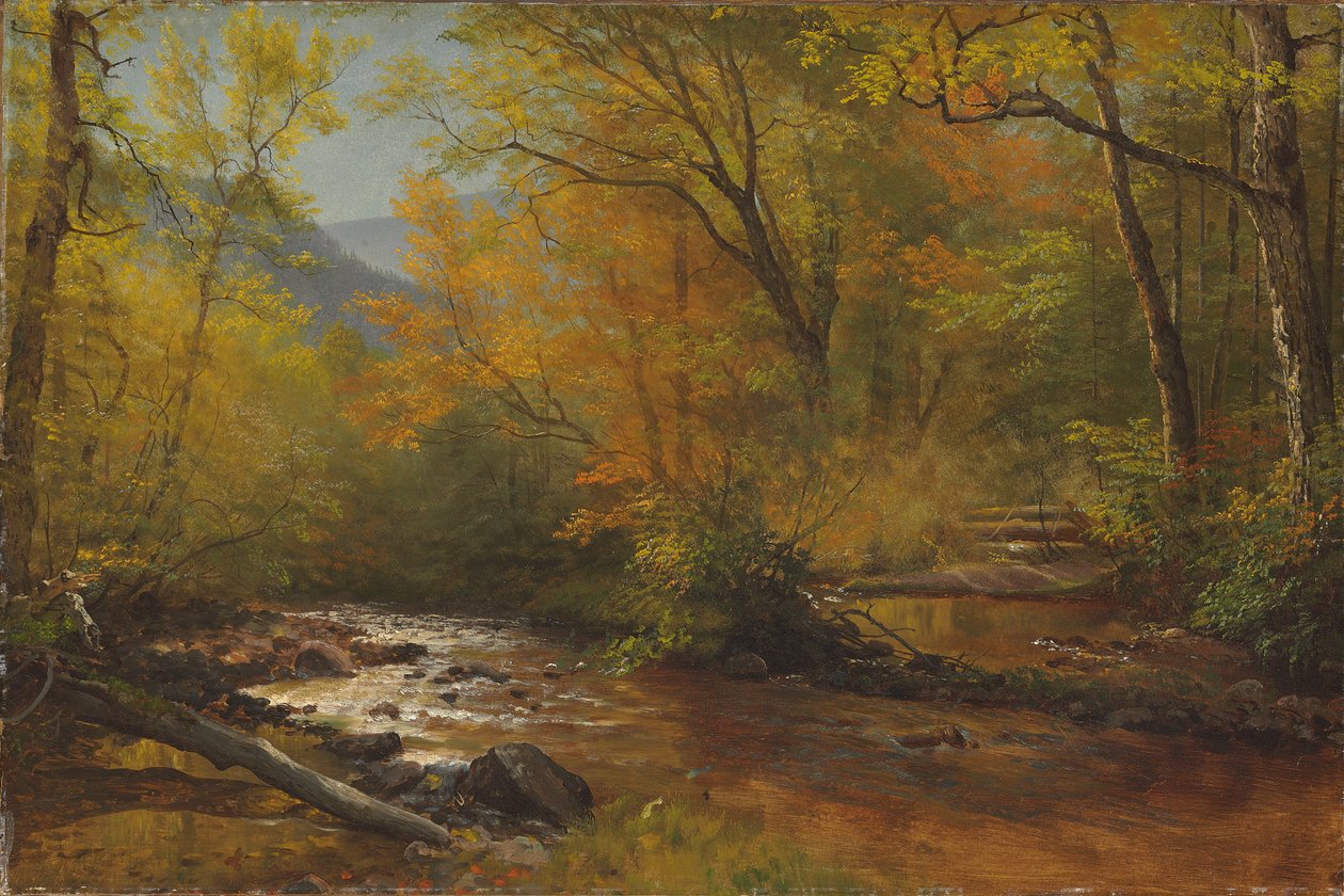 Bæk i skoven af Albert Bierstadt