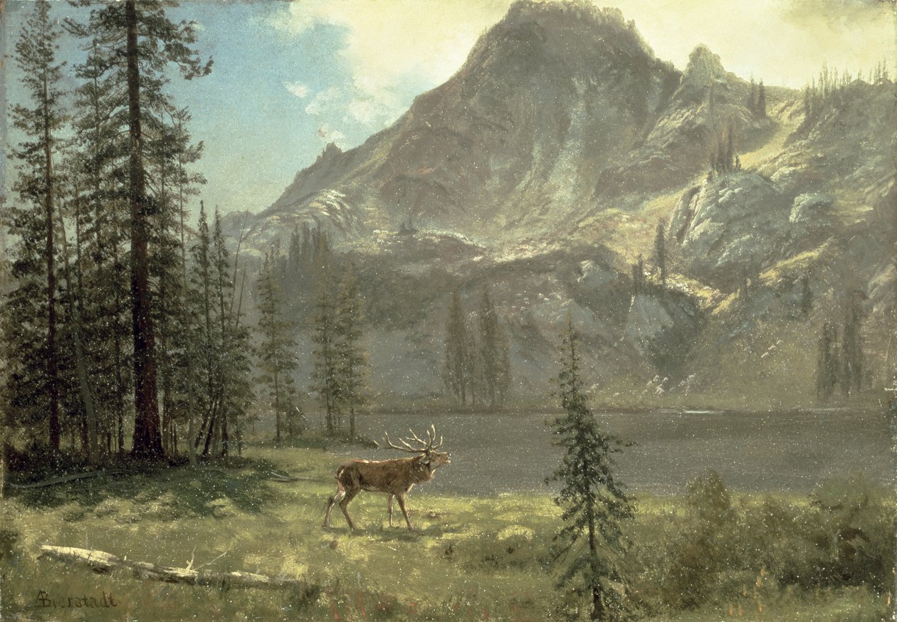 Call of the Wild af Albert Bierstadt