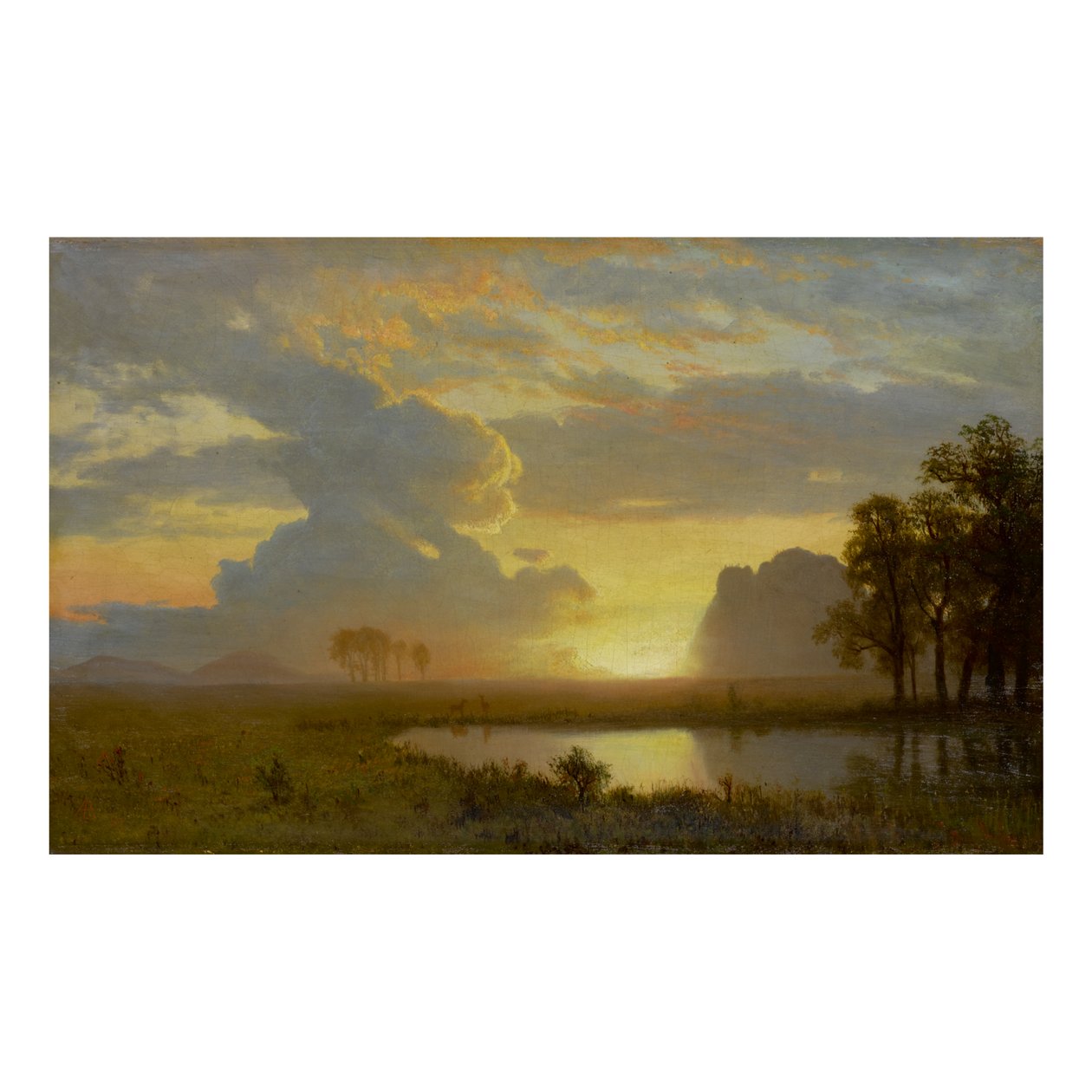 ESTES PARK, COLORADO af Albert Bierstadt