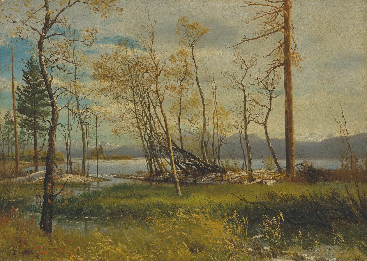 Tahoe-søen af Albert Bierstadt