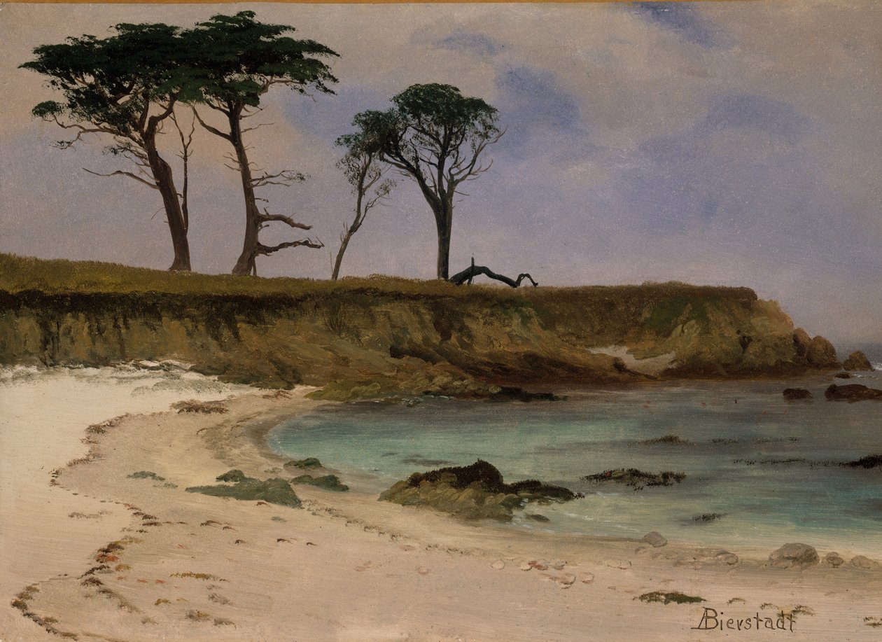 Sea Cove, ca. 1880-90 (olie på træ) af Albert Bierstadt