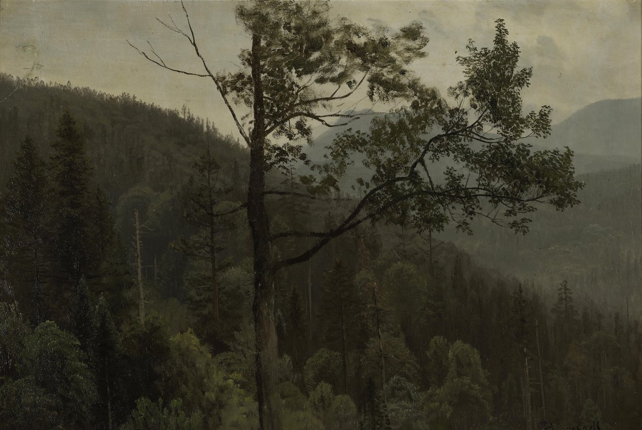 Trædækkede bjerge af Albert Bierstadt