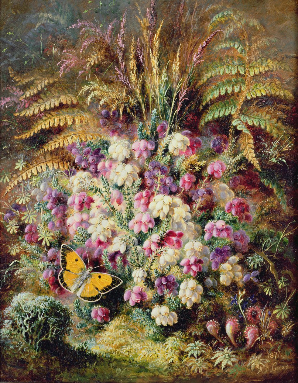 Bell Heather, 1877 af Albert Durer Lucas