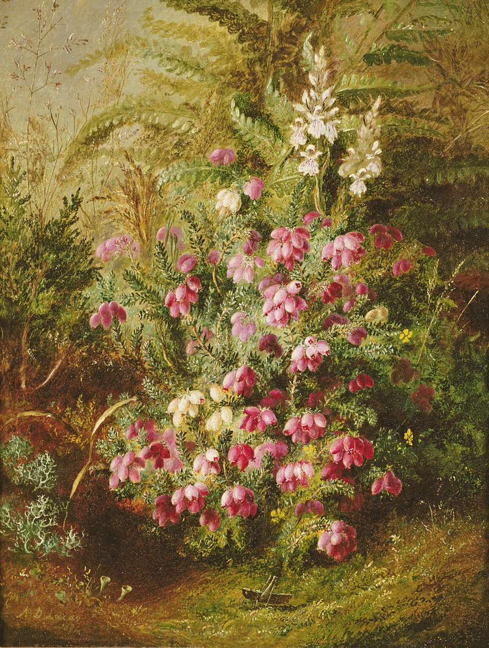 Græshoppe og Lyng af Albert Durer Lucas