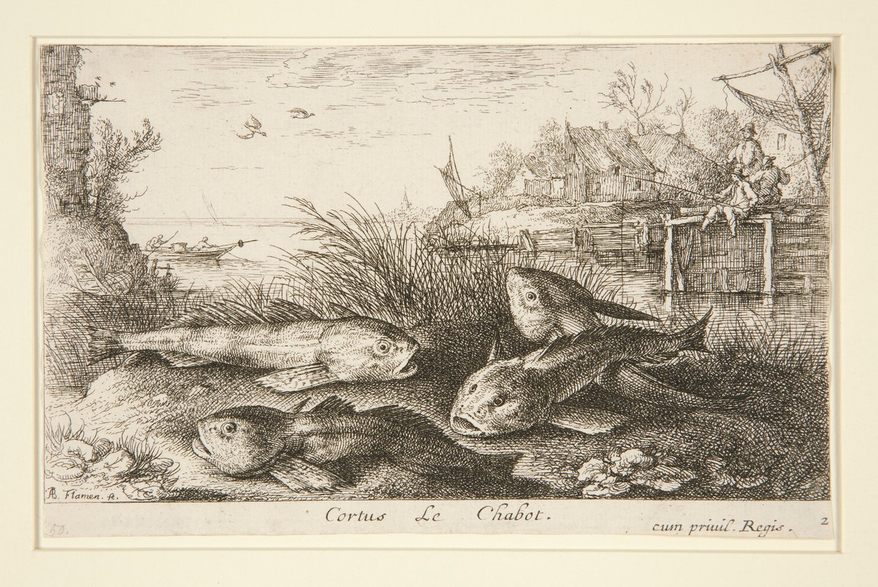 Cortus, Le Chabot af Albert Flamen