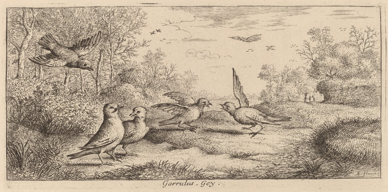 Garrulus, Jay af Albert Flamen