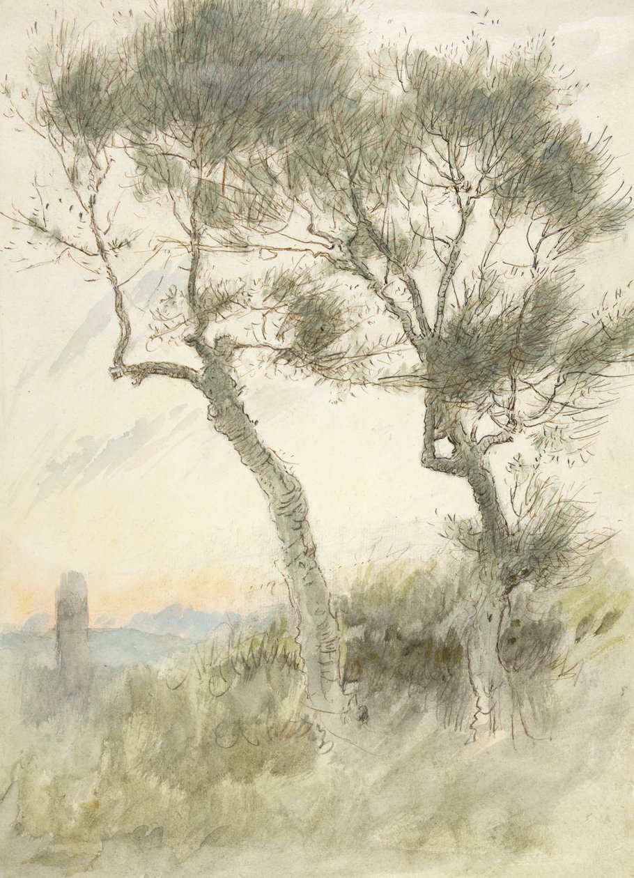 Studie af to træer af Albert Goodwin